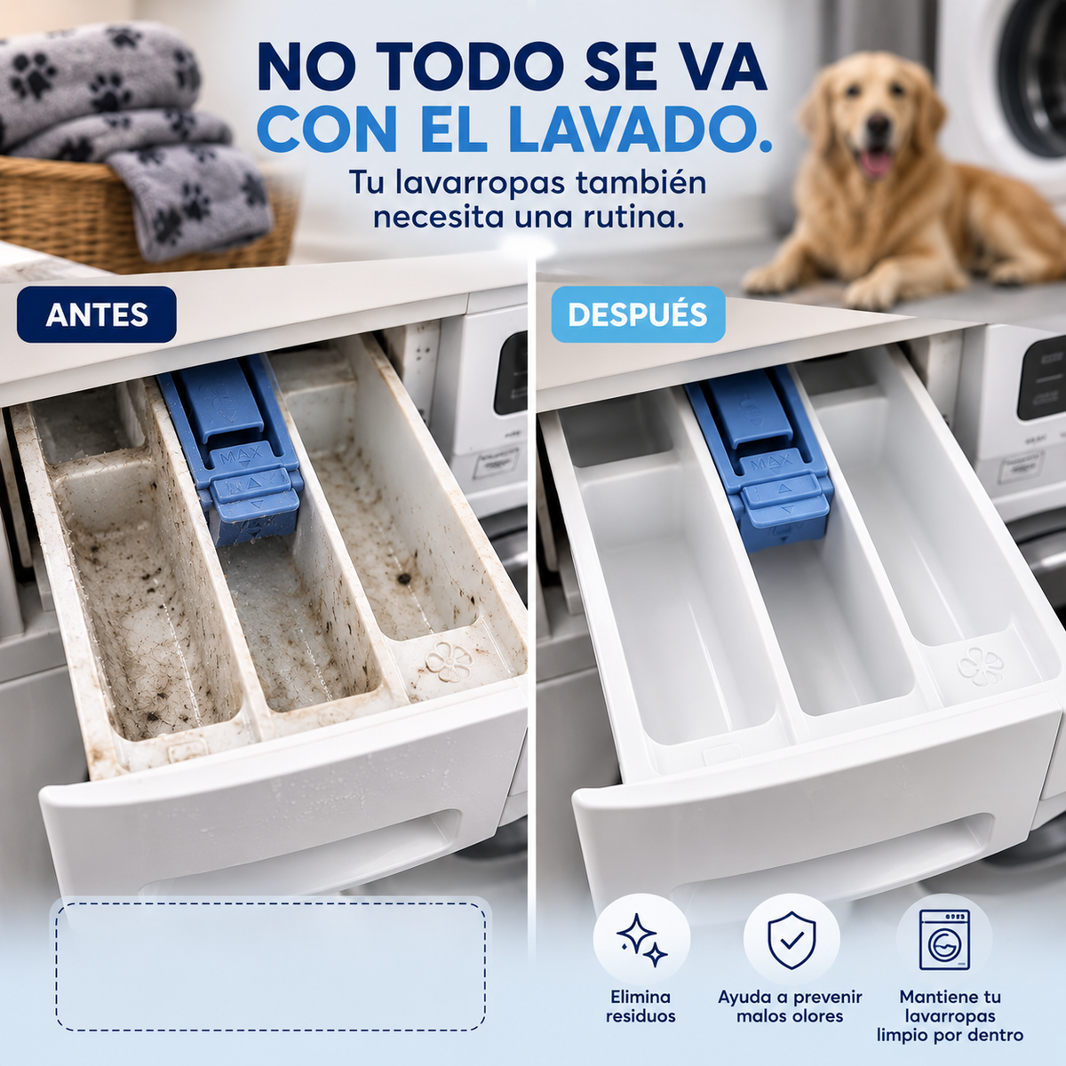 Pastillas CLARIO™ — Limpieza Profunda contra Hongos, Pelos y Humedad